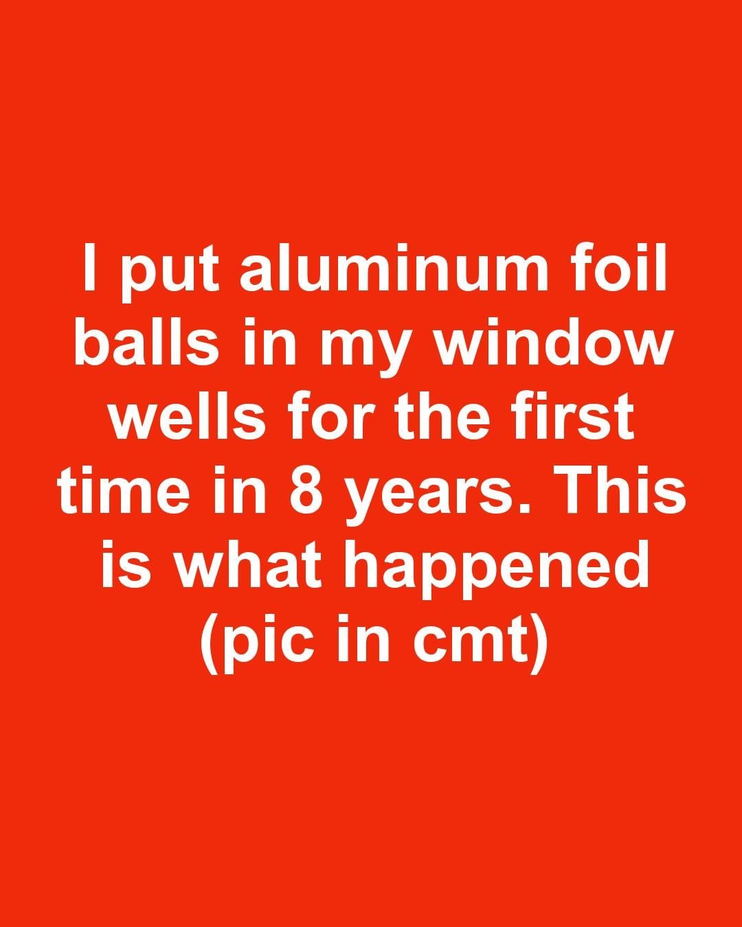 I put aluminum foil balls in my window wells for the first time in 8 years. This is what happened